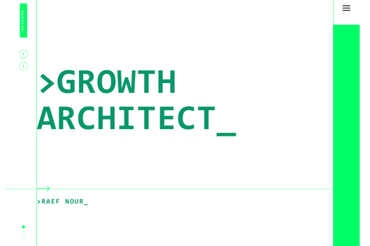 Raef Nour: Bridging Complex Software Architecture with High-Yield Business Growth